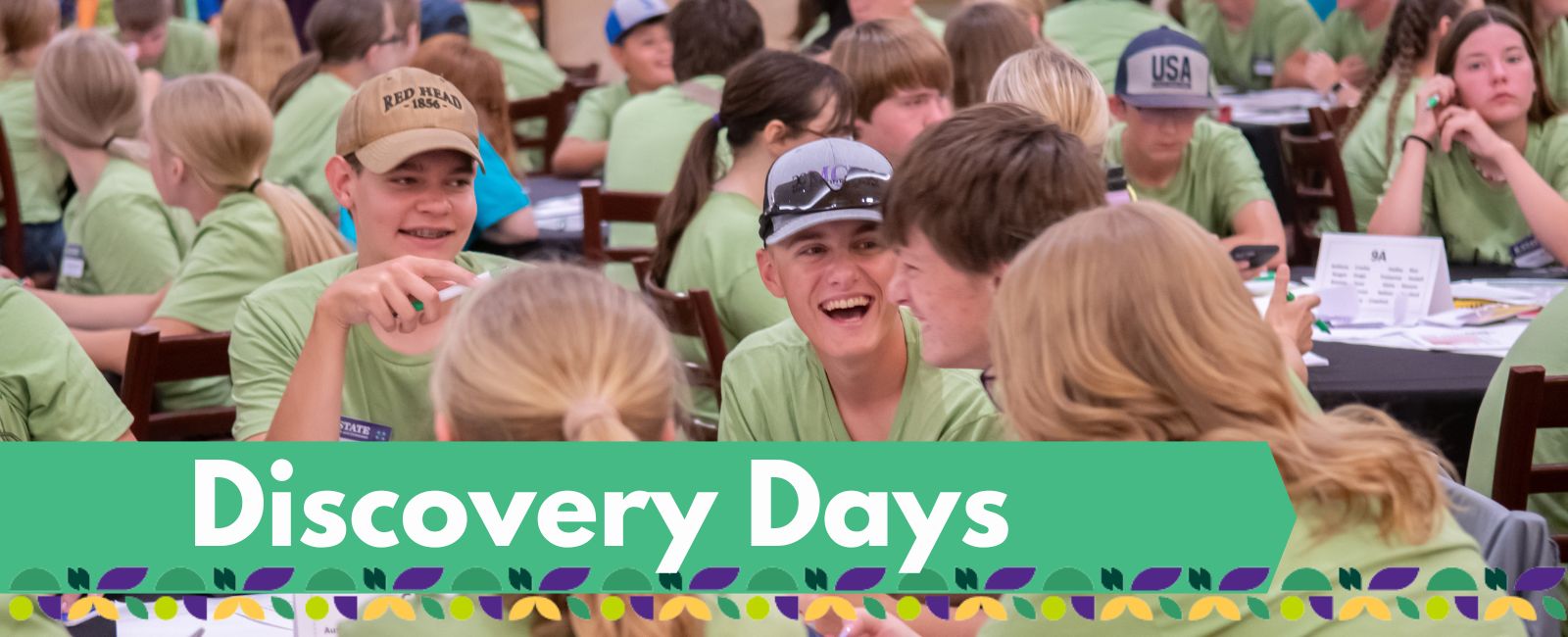 Discovery Days banner with text