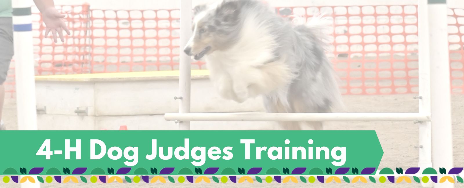 Dog Judges Banner with Text