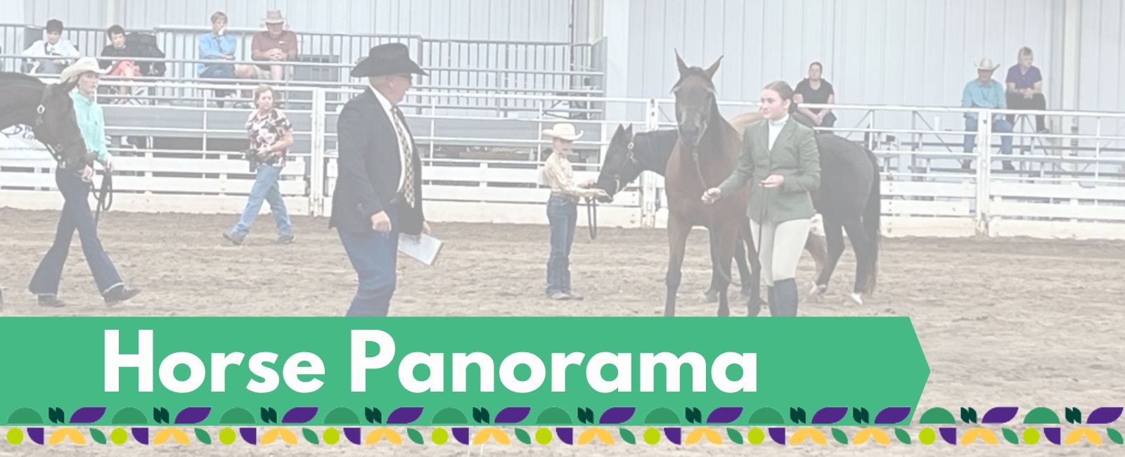 Horse Panorama Banner with Text