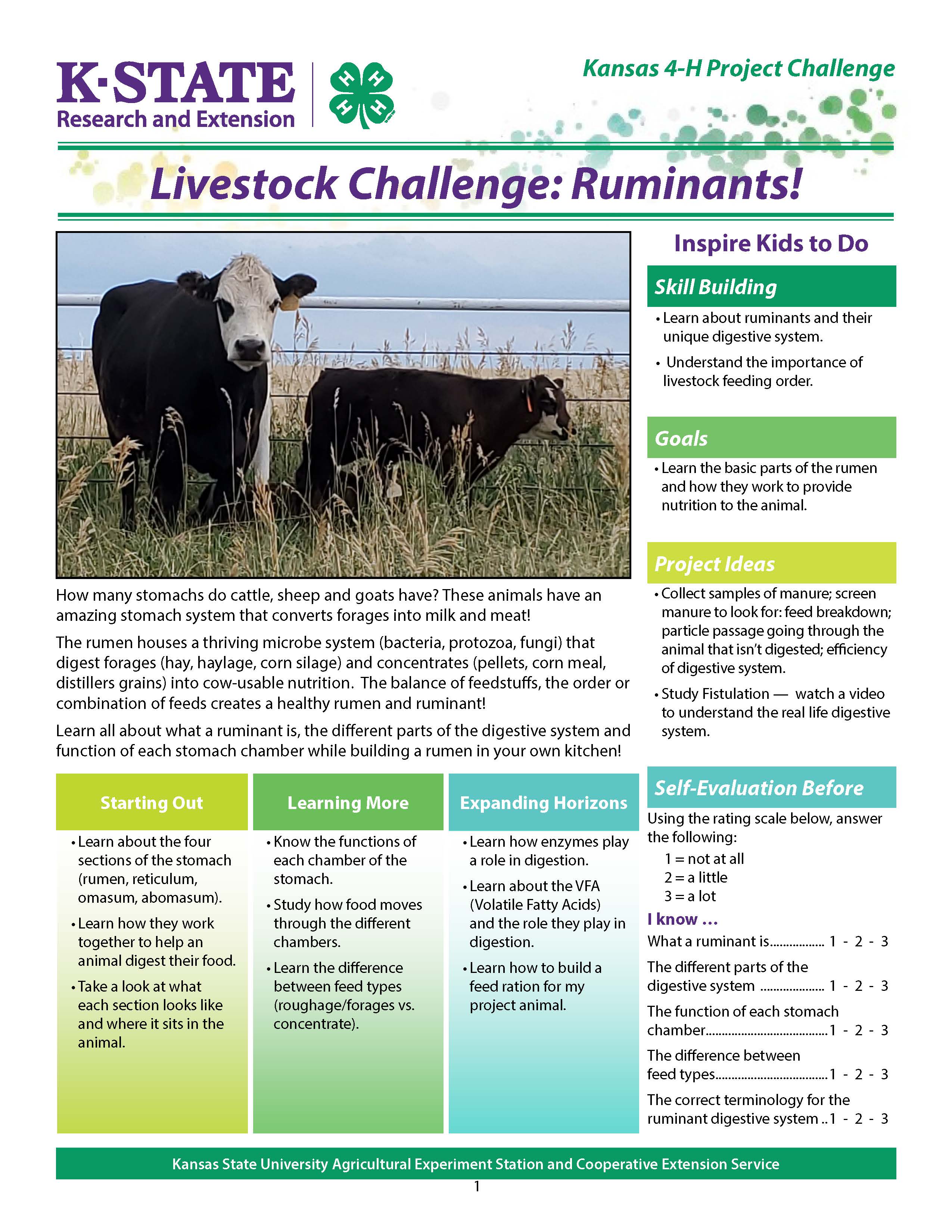 Ruminant Challenge